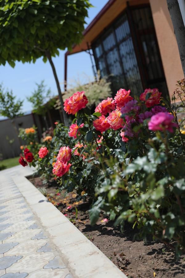 Отель Hotel Luxor Тбилиси-22