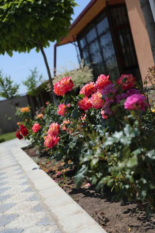 Отель Hotel Luxor Тбилиси-21