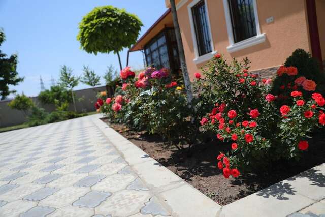 Отель Hotel Luxor Тбилиси-22