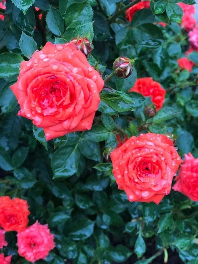 Отель Hotel Luxor Тбилиси-27